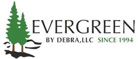 Evergreen By Debra